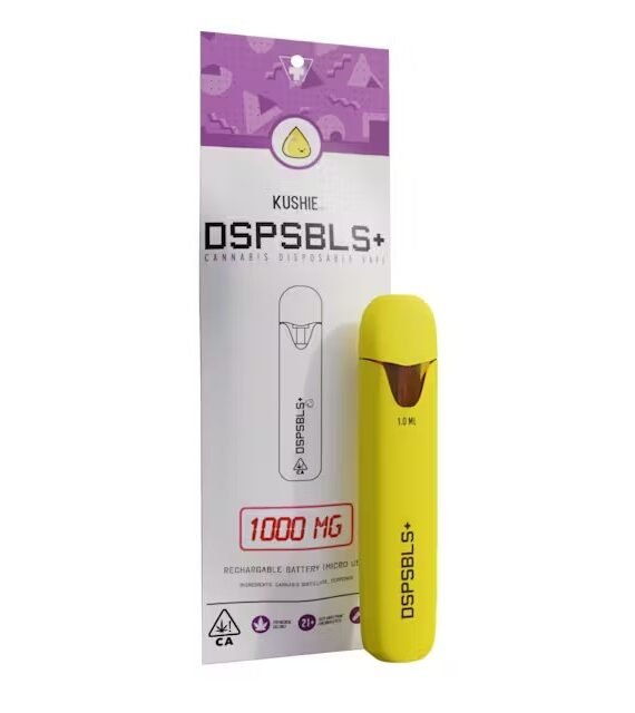 DSPSBLS 1G Distillate Disposable Runtz